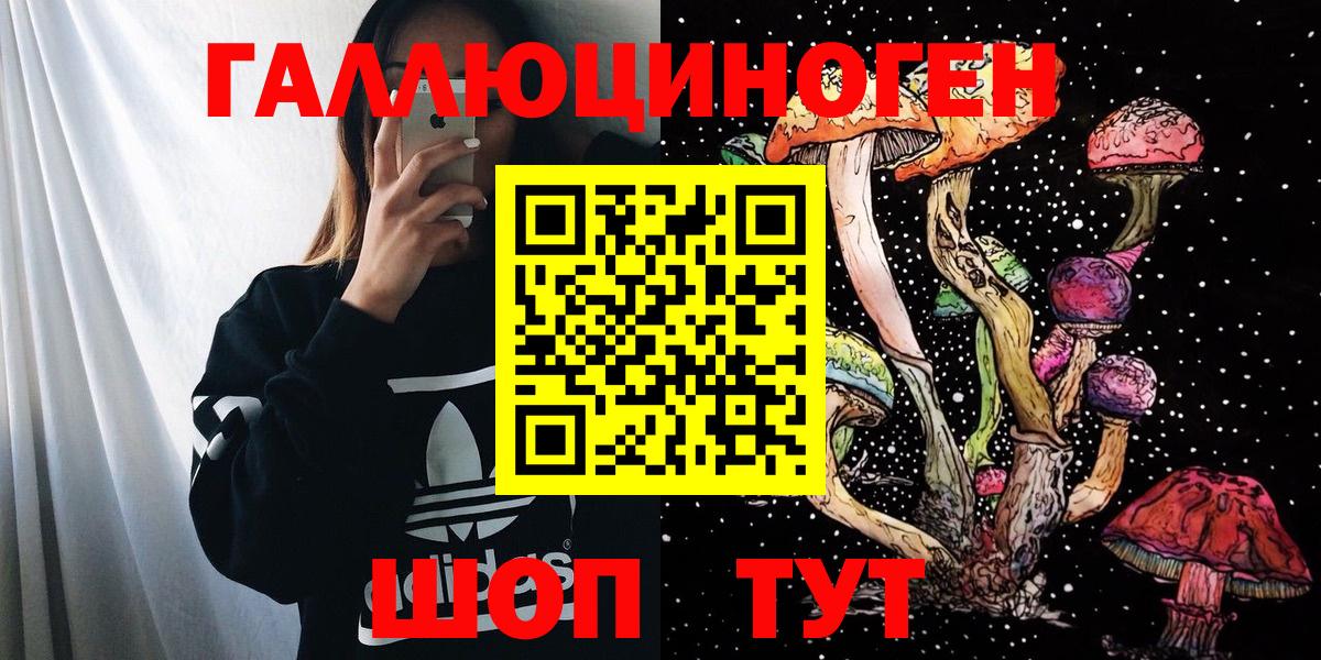 Галлюциногенные грибы Cubensis Канаш