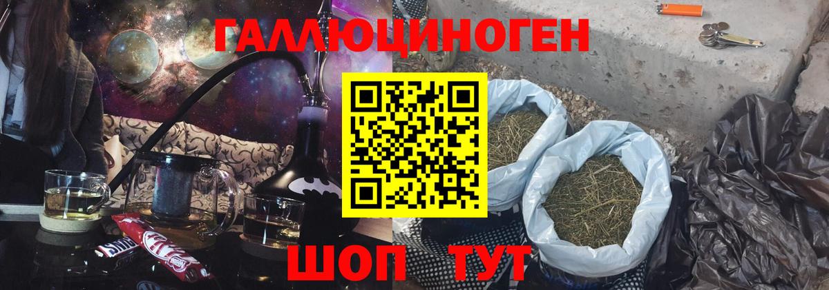 Канаш  Галлюциногенные грибы мухоморы  Галлюциногенные грибы MAGIC MUSHROOMS  купить   Вход с VPN 