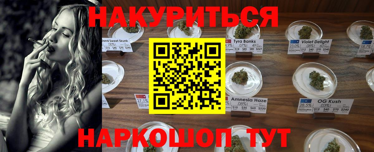 Канабис SATIVA & INDICA Канаш